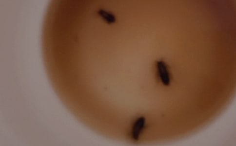 �N��������ô�k