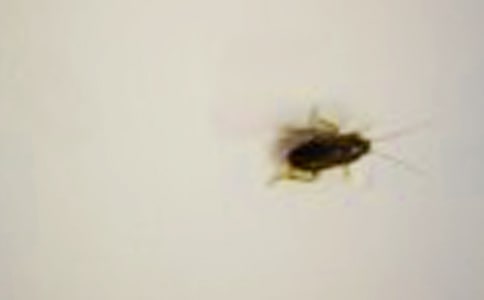 ׽������ġ��᡿