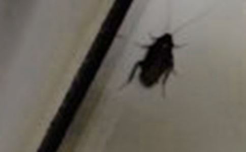 (����)�o������11ƪ