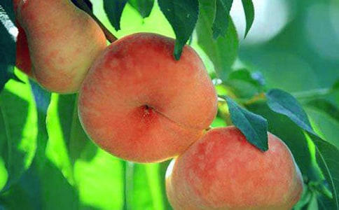 ��(j��ng)����f(shu��)���£���ҕ�(hu��)