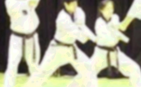 跆拳道作文匯編15篇