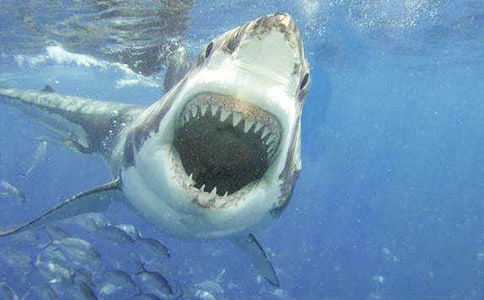 ���~���˾G������ô�ӵ�ЦԒ