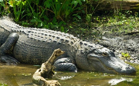 �{�~���ۜI����