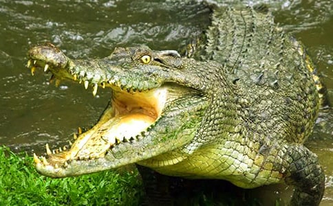 �{�~����������ӛ���x����