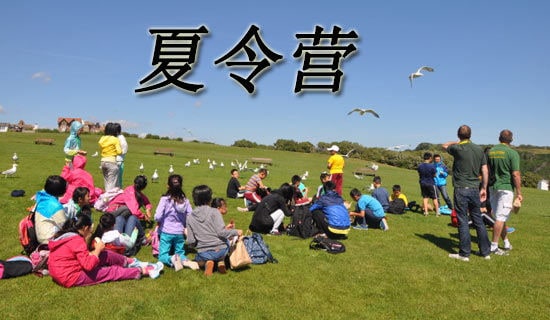 ���o����I(y��ng)����һ����