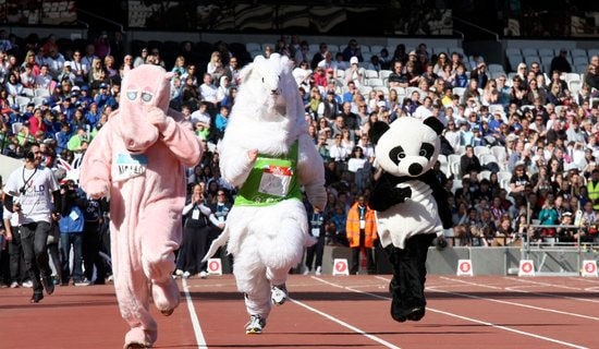 У�\(y��n)��(d��ng)��(hu��)�^���