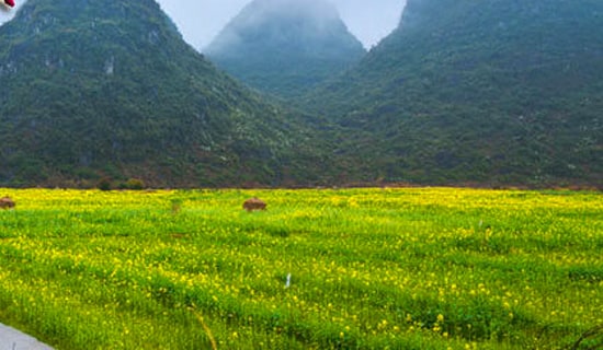 С�W(xu��)���λ��(d��ng)����